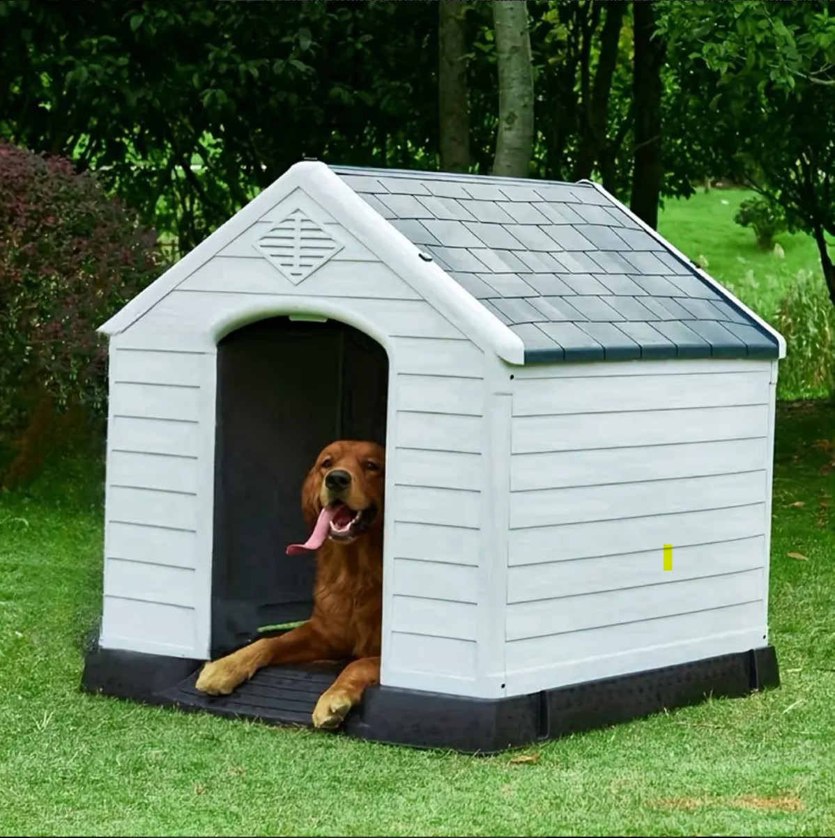 Dog house of Apartment #2 Orestiada  - Photo #0